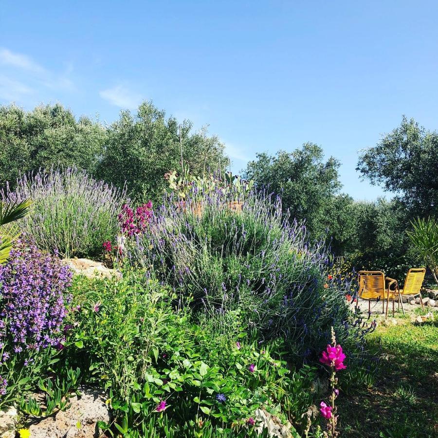 Bed and Breakfast Casa Della Scrittrice Ostuni Exterior foto