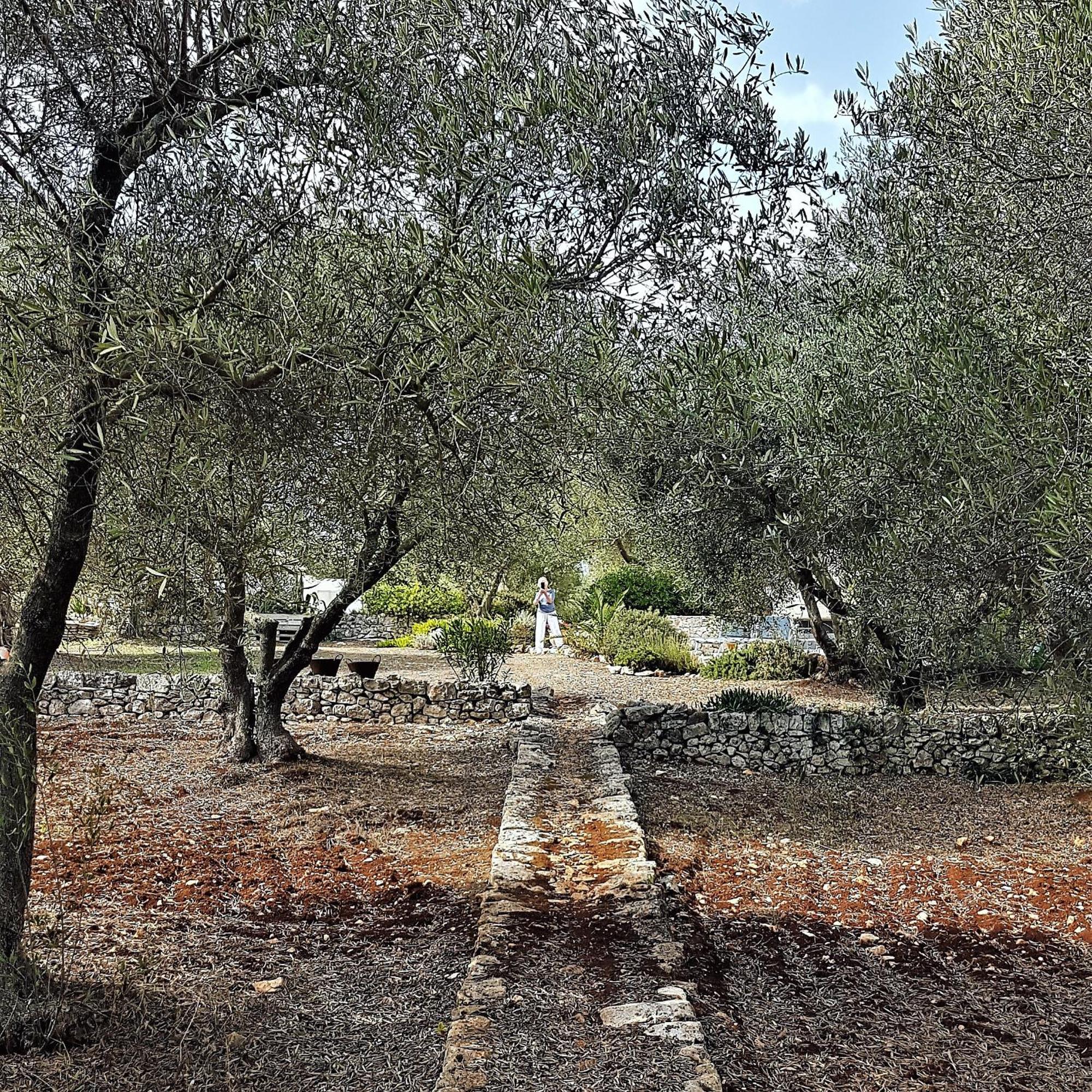Bed and Breakfast Casa Della Scrittrice Ostuni Exterior foto