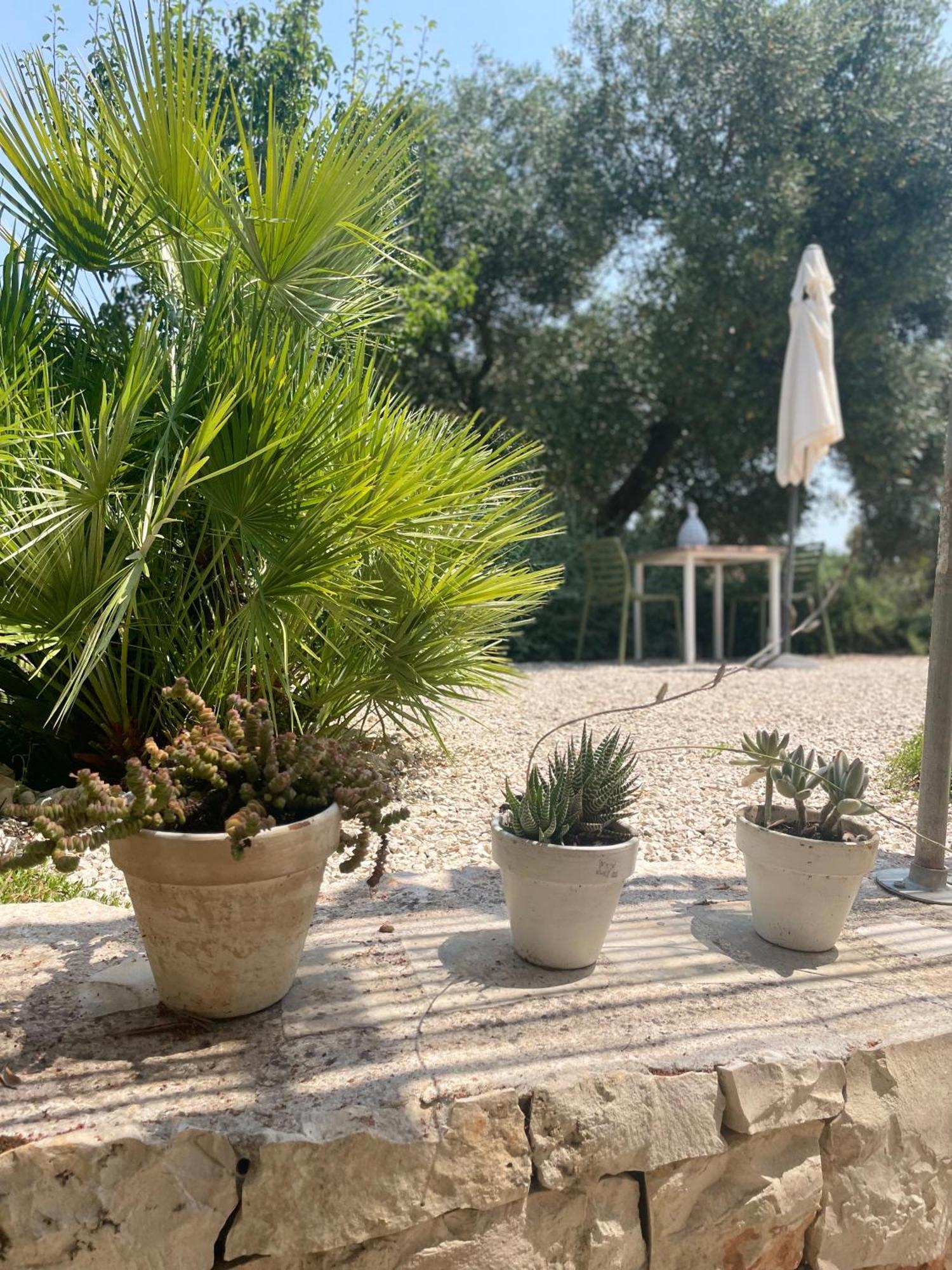 Bed and Breakfast Casa Della Scrittrice Ostuni Zimmer foto
